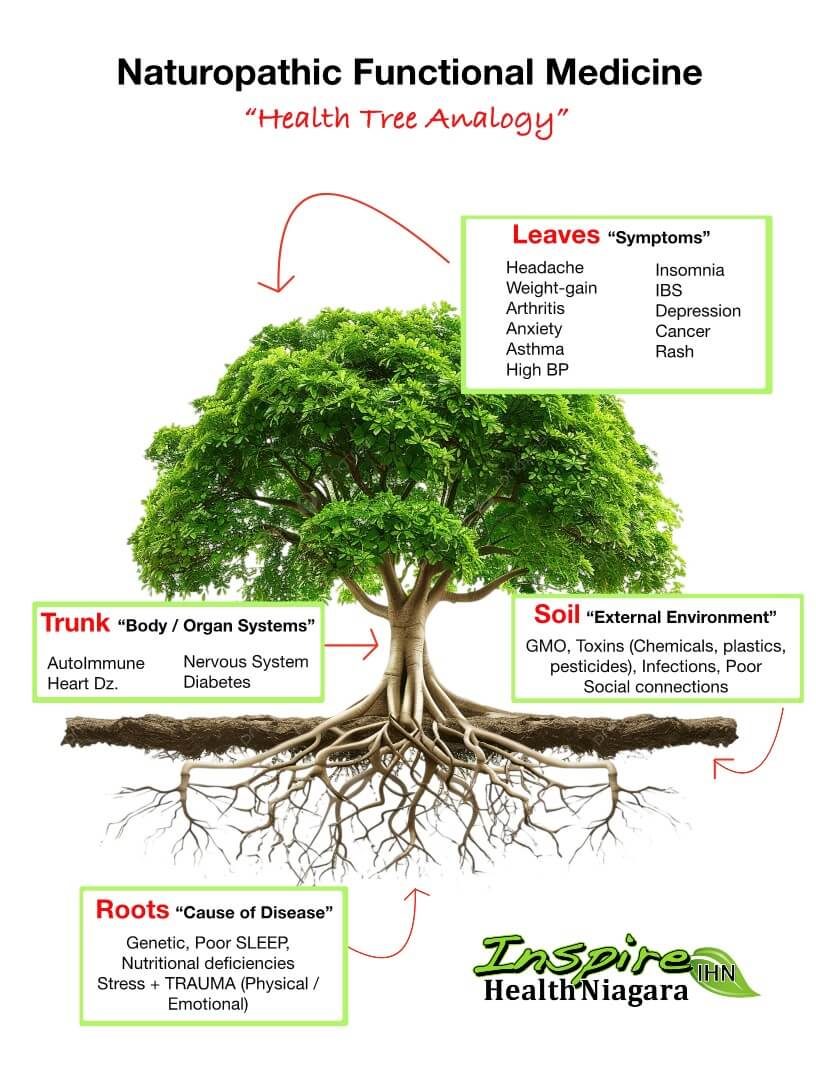 Naturopathic Functional Medicine Infographic